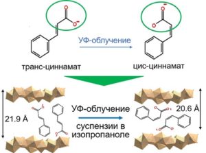 Вверху: изомеризация циннамат-аниона; внизу: схема изменения межслоевого расстояния в слоистом гидроксиде иттрия, содержащем циннамат-анионы, при УФ-облучении 