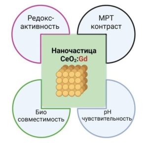 Радикал-перехватывающие характеристики и энзимоподобная активность нанокристаллического диоксида церия, легированного гадолинием